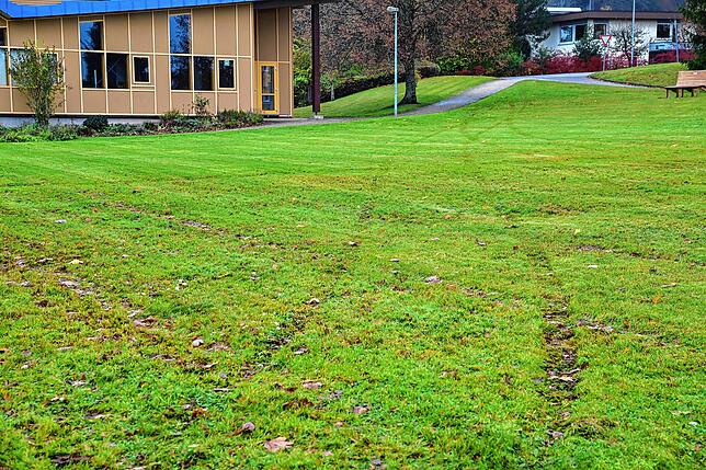 Auf der Wiese beim Ökumenischen Zentrum sind die Spuren des Kleinwagens noch gut zu sehen. Die zweiten stammen von einem der beiden ...