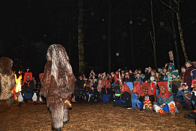 Bild 12: Schneeschreck und Riedhexen tanzen am Feuer &ndash; Alle Bilder vom Fasnachtsauftakt in Wollmatingen