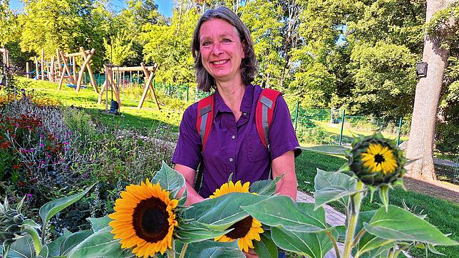 Teil des Konzepts: Einige Gewächse, wie hier die Sonnenblumen, hat die Königsfelder Gartenbau-Ingenieurin Beate Meier zusammen mit den ...