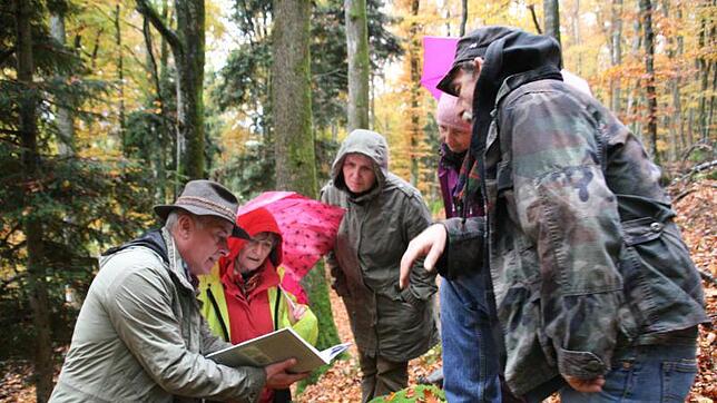In Aktion: Mit Roland Weis auf Spurensuche: Der aus Neustadt stammende Autor führt auch Interessierte zu Fuß und bei (fast jedem Wetter) ...
