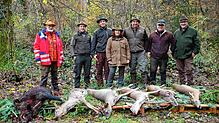 Zur Strecke gebracht: Bei Treibjagden geht es vor allem um Rehe und Wildschweine, wie dieses Symbolfoto aus Rheinfelden von der ...