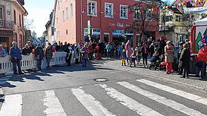 Bild : Die besten Fotos vom Fasnetsumzug in Tiengen