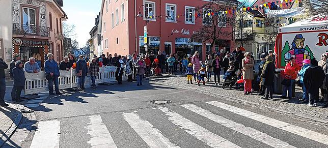 Bild 1: Die besten Fotos vom Fasnetsumzug in Tiengen