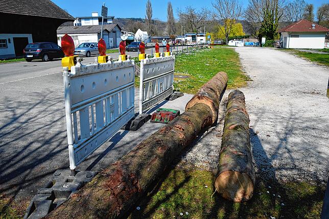 Die Absperrungen des Strandbad-Parkplatzes in Bodman sind mit Baumstämmen verstärkt. Zäune wegschieben bringt nichts.