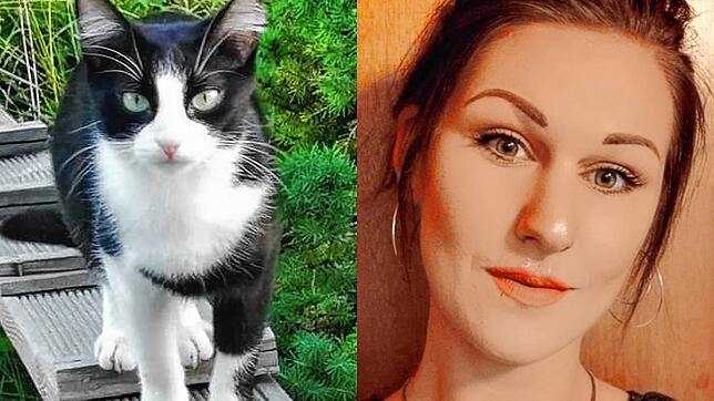 Shiva ist gechipt und bei der Tierschutzorganisation Tasso registriert. Messalina Messerschmid-Savic beschreibt die Katze als sehr klein ...