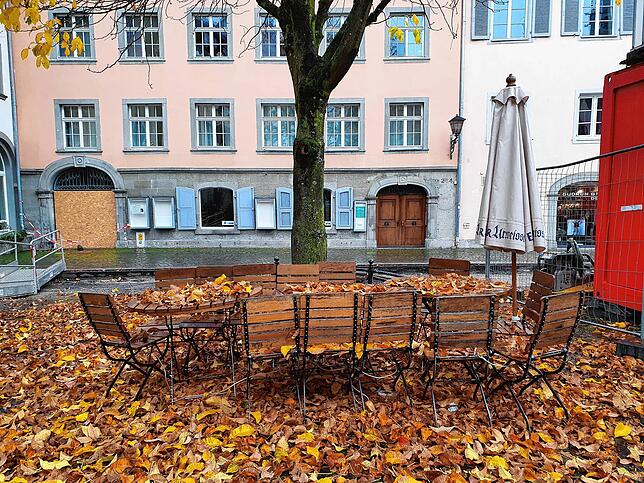 Bereits komplett entblättert hat sich dieser Baum an der Überlinger Hofstatt.