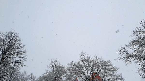 Bild : Oh weh, der Schnee! In Konstanz sind noch immer nicht alle Straßen geräumt. Tja, liebe Anwohner, selbst Schuld &ndash; sagt der Winterdienst