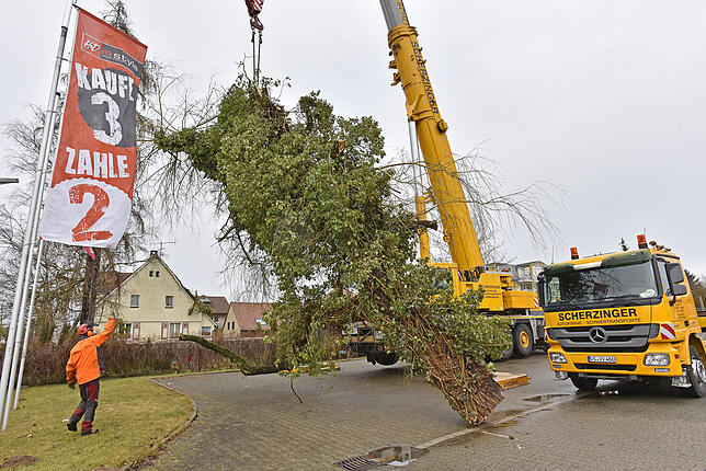 Bild 9: Den Baum am Haken: In Haus gekrachter Baum in der Donaueschinger Straße wird mit dem großem Kran entfernt