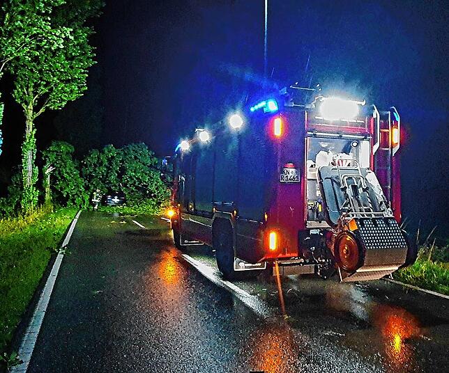Bild 7: Umgestürzte Bäume sorgen für viel Arbeit für alle: Die Bilder nach dem Unwetter aus Radolfzell