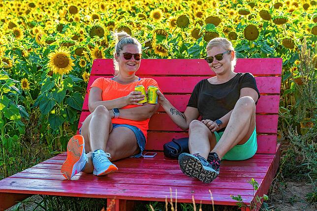 Besucher genießen einen schönen Sommerabend im Sonnenblumenfeld auf den Bertoldshöfen. Diese Archivbild stammt vom August 2022.