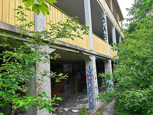 Graffiti ziert die Fassade des Haus Hohenbaden. Und die Natur bahnt sich ungestört ihren Weg.