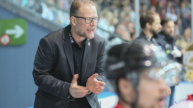 Christof Kreutzer wird ab 1. Mai neuer Sportmanager bei den Wild Wings