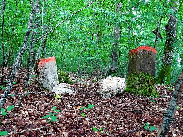 Bei der ersten Wertigs-Wanderung des Schwäbischen Albvereins Meßkirch ging es entlang der badisch-hohenzollerischen Grenze bei Langenhart.