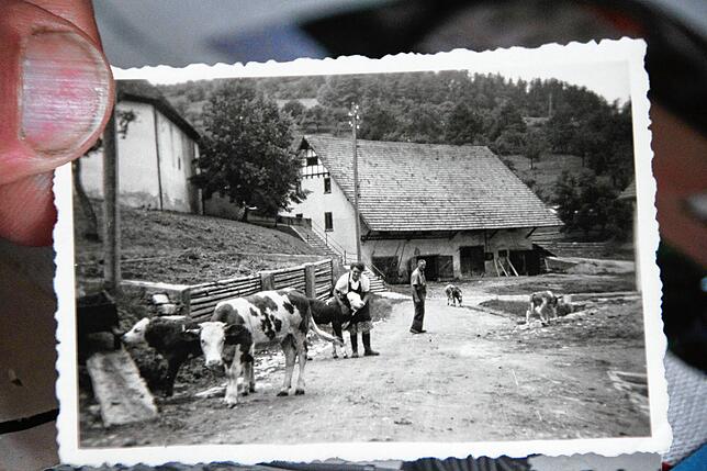 In den 80er Jahren entschied sich die Familie Kaiser aus Wangen gegen die Milchviehhaltung und für die Geflügelzucht. Im Archivbild sind ...