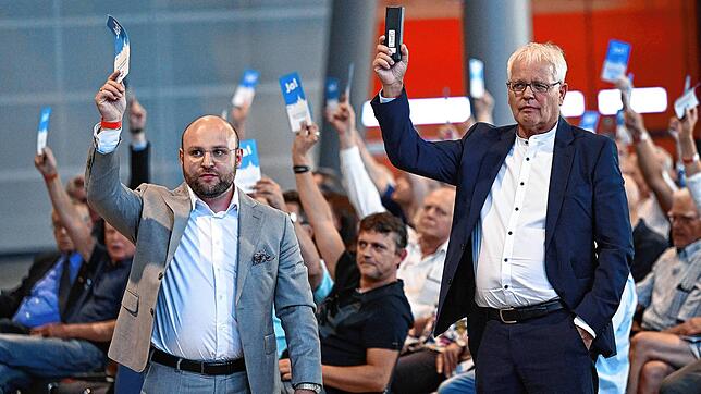 Die AfD-Landesvorsitzenden Markus Frohnmaier (links) und Emil Sänze stehen im Juli 2022 in der Messehalle in Stuttgart beim ...