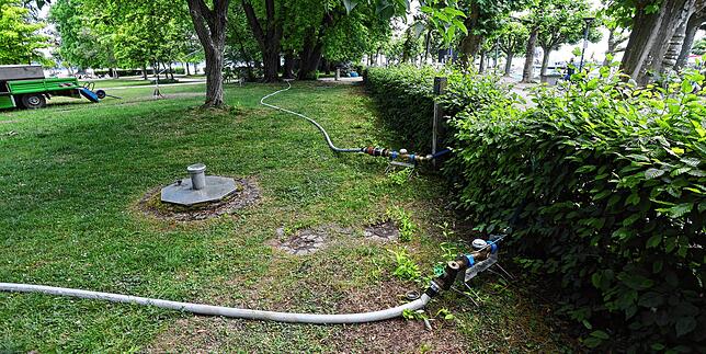 Manchmal fahren die städtischen Mitarbeiter mit Wassertankwagen in Parks, woanders kommen Schläuche zum Einsatz, wie hier im Stadtgarten.