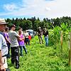 Hier konnten sich die Landwirte über drei Maßnahmen informieren, den Mischfruchtanbau, Blühstreifen und Altgrasstreifen. Sie alle ...
