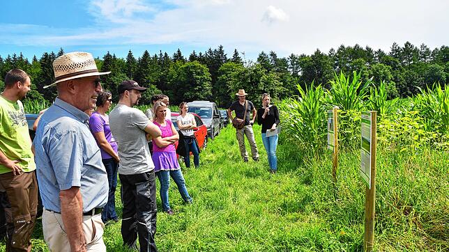 Hier konnten sich die Landwirte über drei Maßnahmen informieren, den Mischfruchtanbau, Blühstreifen und Altgrasstreifen. Sie alle ...