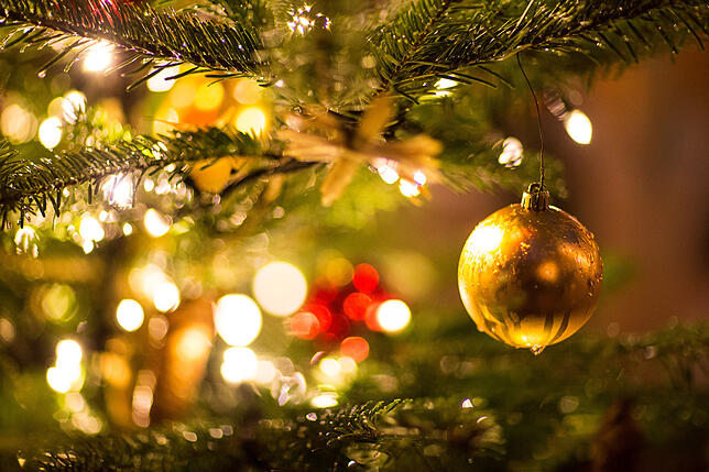 Blickfang Christbaum: Eine goldene Kugel hängt an einem Weihnachtsbaum.