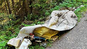 Welch ein Aufwand, da saniert jemand sein Klo, fährt alles in einem Auto in den Wald beim Meleck im Germanswald, kippt es in den grünen ...