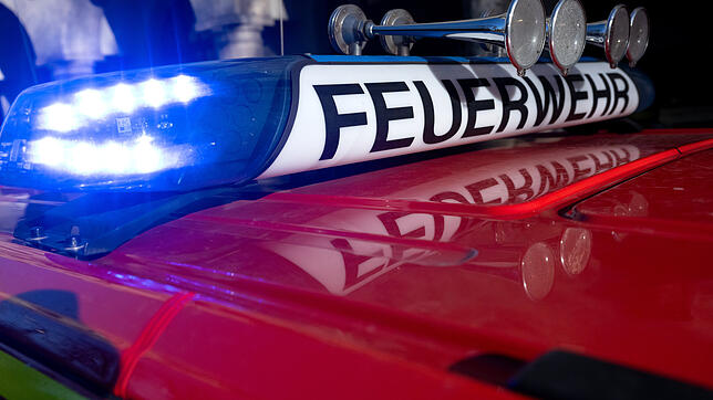 Ein Feuerwehrauto mit eingeschaltetem Blaulicht. (Symbolbild) In Wutöschingen mussten Einsatzkräfte einen Motorbrand löschen.