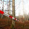 Bild :