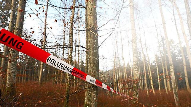 Bild : Knochenfund bei Behla gelöst: Überreste konnten vermisstem 33-Jährigen zuogeordnet werden