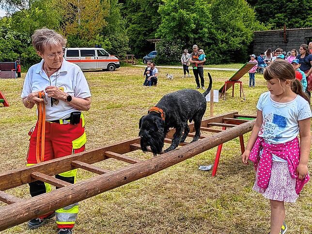 Die Rettungshundestaffel.