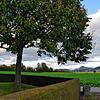 Jenseits der Hecke am Riedheimer Friedhof, wo jetzt nur Feld ist, könnten Unterkünfte für 20 Flüchtlinge entstehen. Bild: Ingeborg Meier