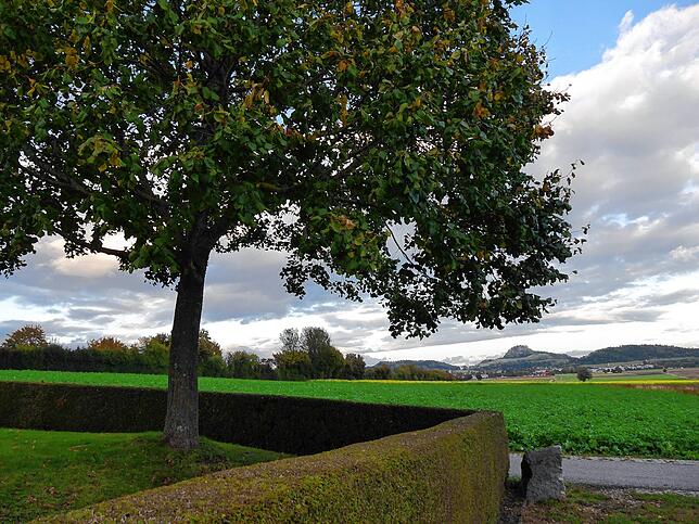 Jenseits der Hecke am Riedheimer Friedhof, wo jetzt nur Feld ist, könnten Unterkünfte für 20 Flüchtlinge entstehen. Bild: Ingeborg Meier