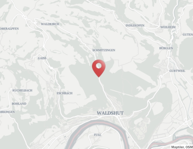 Die Schmitzinger Straße in Waldshut: Hier wurde ein unbekannter männlicher Leichnam gefunden.
