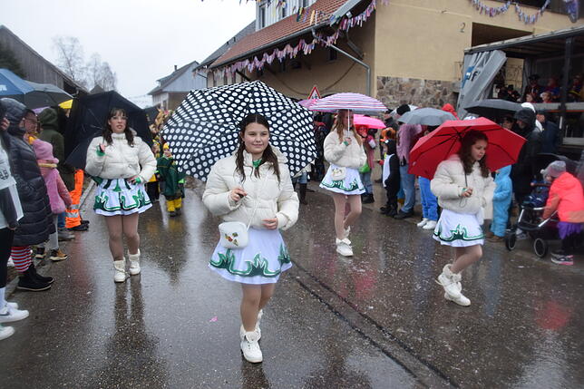 Bild 10: Nöggenschwiel 2025: Fasnacht und bunte Kostüme – Eindrücke vom Schlüchttalnarrentreffen