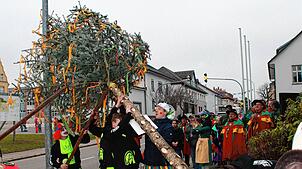 An Dreikönig 2017 ist der erste Murger Narrenbaum vom Fröscheloch-Echo und Bürgermeister Adrian Schmidle gestiftet worden.