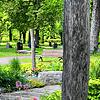 Auf dem Radolfzeller Waldfriedhof gibt es bereits Baumgräber. Über die Möglichkeit, an anderer Stelle einen speziellen Bestattungswald ...