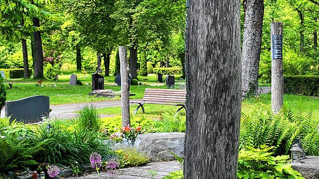Auf dem Radolfzeller Waldfriedhof gibt es bereits Baumgräber. Über die Möglichkeit, an anderer Stelle einen speziellen Bestattungswald ...