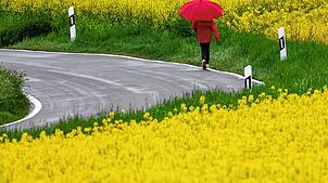 In Baden-Württemberg soll es laut DWD in den nächsten Tagen viel Regen und auch Gewitter geben.