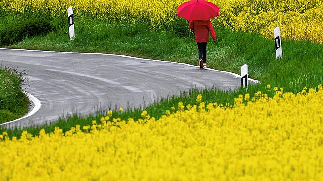 In Baden-Württemberg soll es laut DWD in den nächsten Tagen viel Regen und auch Gewitter geben.