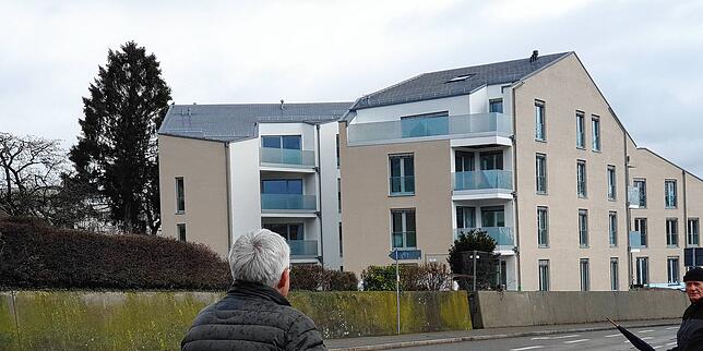 Die Hafenvillen an der Mainaustraße sind auch ein Negativbeispiel aus Sicht der zwei Männer.