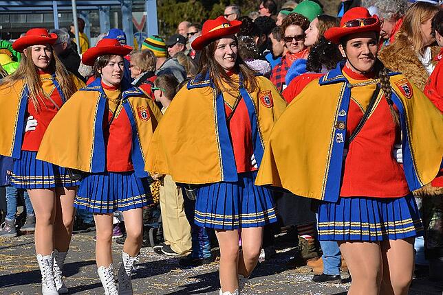 Bild 34: Bilder vom Narrentreffen der Urviecher-Zunft Bad Dürrheim: Großer Festumzug (2)