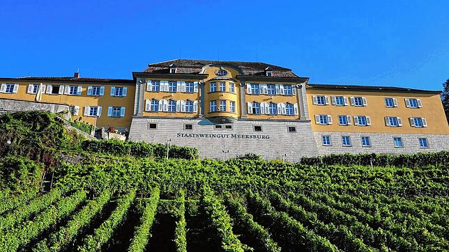 Das Staatsweingut Meersburg besteht seit 1210 und gehört dem Bundesland.