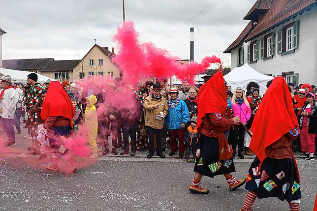 Bild 14: Mehr als 1000 Hästräger beim Hilzinger Sonntagsumzug