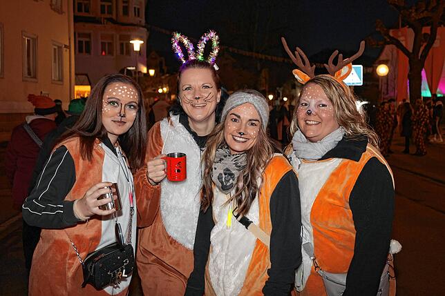 Bild 12: Nachtumzug beim Narrentreffen Engen 2025 – Hier gibt‘s die besten Bilder