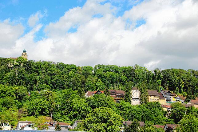 Blick auf die Altstadt von Stühlingen mit dem Schloss Hohenlupfen (links), das über der Stadt thront.