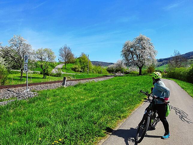 Oberhalb von Fützen geht es nach dem Bahnübergang an der Sauschwänzlebahn gleich rechts auf den Wirtschaftsweg Richtung Grimmelshofen.