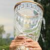 Das Objekt der Begierde: der SBFV-Pokal.