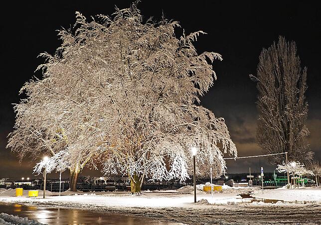 Bild 20: Was für ein Wintereinbruch am Bodensee: Die schönsten Schnee-Bilder vom Wochenende