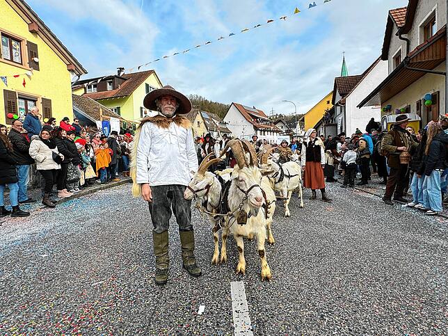 Bild 35: Spaß beim VHN-Narrentreffen: Bilder vom Umzug (1)