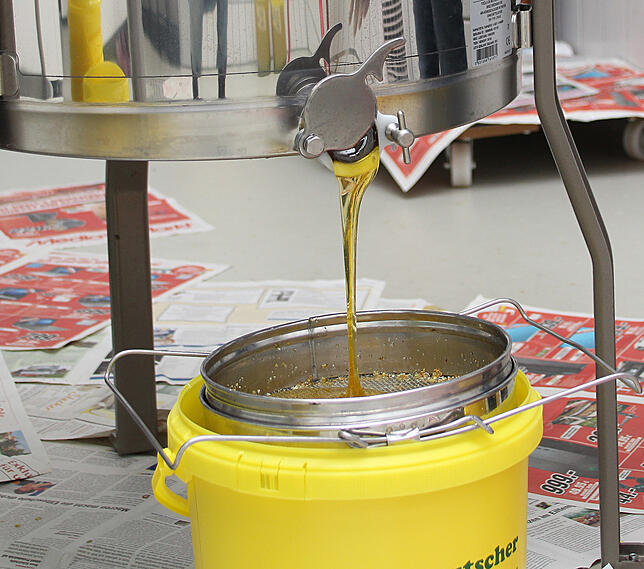 Alles fließt. Und wie es erst duftet und schmeckt! Nichts lässt sich mit frisch geschleudertem Bienenhonig vergleichen.