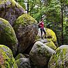 Beeindruckend: Die Günterfelsen, haushohe Granitfelsen nahe der Donauquelle.