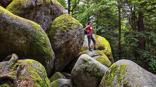 Beeindruckend: Die Günterfelsen, haushohe Granitfelsen nahe der Donauquelle.